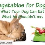 vegetables that dogs can eat
