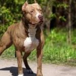 What Are Its Benefits