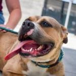 Control Over Population