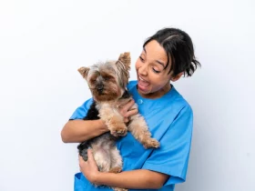 Raising Your New Family Member