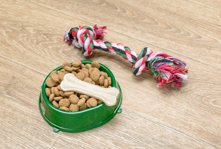 6 Best Dog Food For Boxers