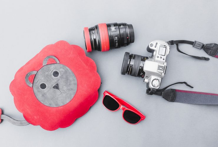 5 Best Camera Dog Toys