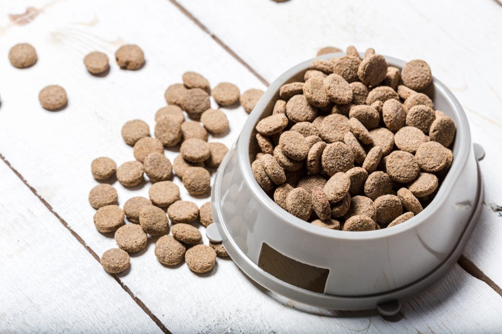 7 Best Dog Foods with Glucosamine