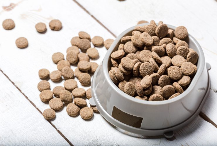 7 Best Dog Foods with Glucosamine