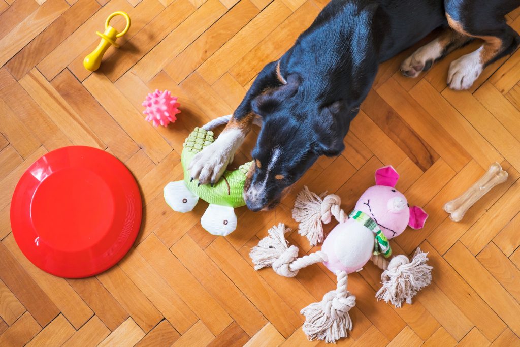 DIY Dog Puzzle Toys