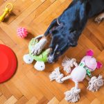 The Trouble With Toys