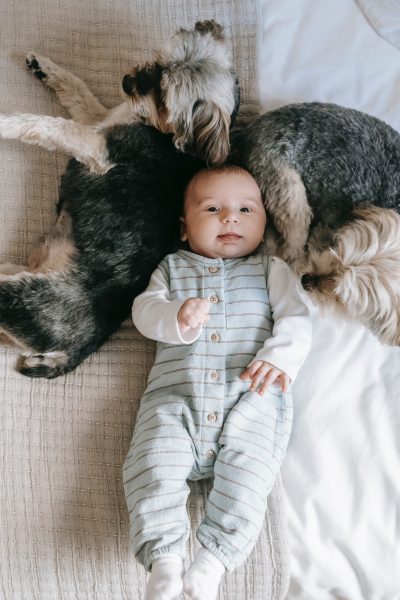 A Gentle Giant With Heart