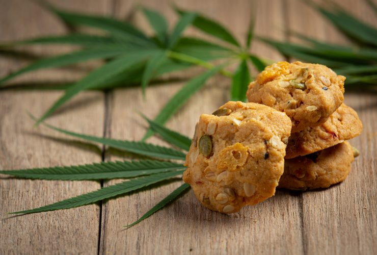 11 CBD Dog Treat Recipes