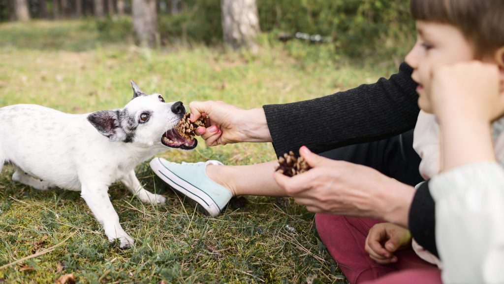 The Dog-Safe Chocolate For Dog Owners