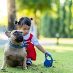 Panel Tests For American Bullies