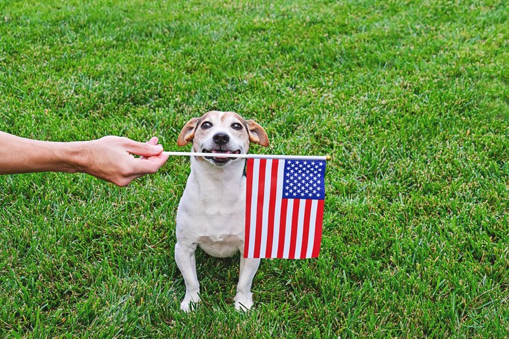 The-USA Dog Treats For Pitbulls