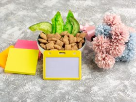 Popular Hypoallergenic Dog Treats