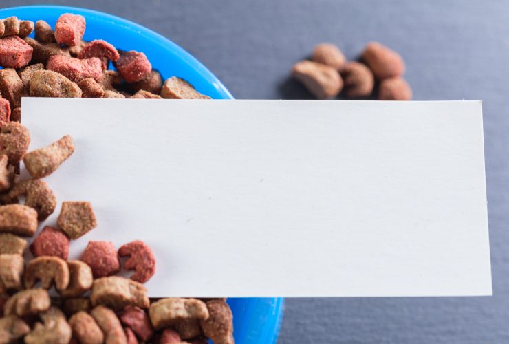 The Best Dog Food For Your Furry Friend