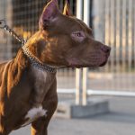 And Why It Really Matters