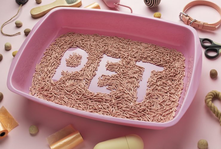 Ideas For Keeping Fido's Food Fresh