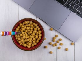 Dog Treats for Training Fast Results From Fido