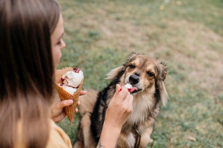 7 Best Dog Ice Cream Recipes