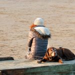 Bully Supplements of 2022