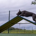 What The Media Hides From View