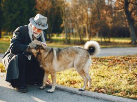 The Truth About Age, Splitting and Breeds