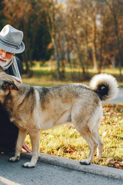 The Truth About Age, Splitting and Breeds