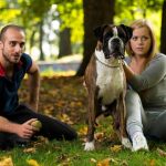 Male Vs Female American Bullies