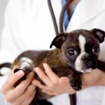 Unveiling the Silent Threats