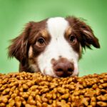 Best Hypoallergenic Dog Food Options