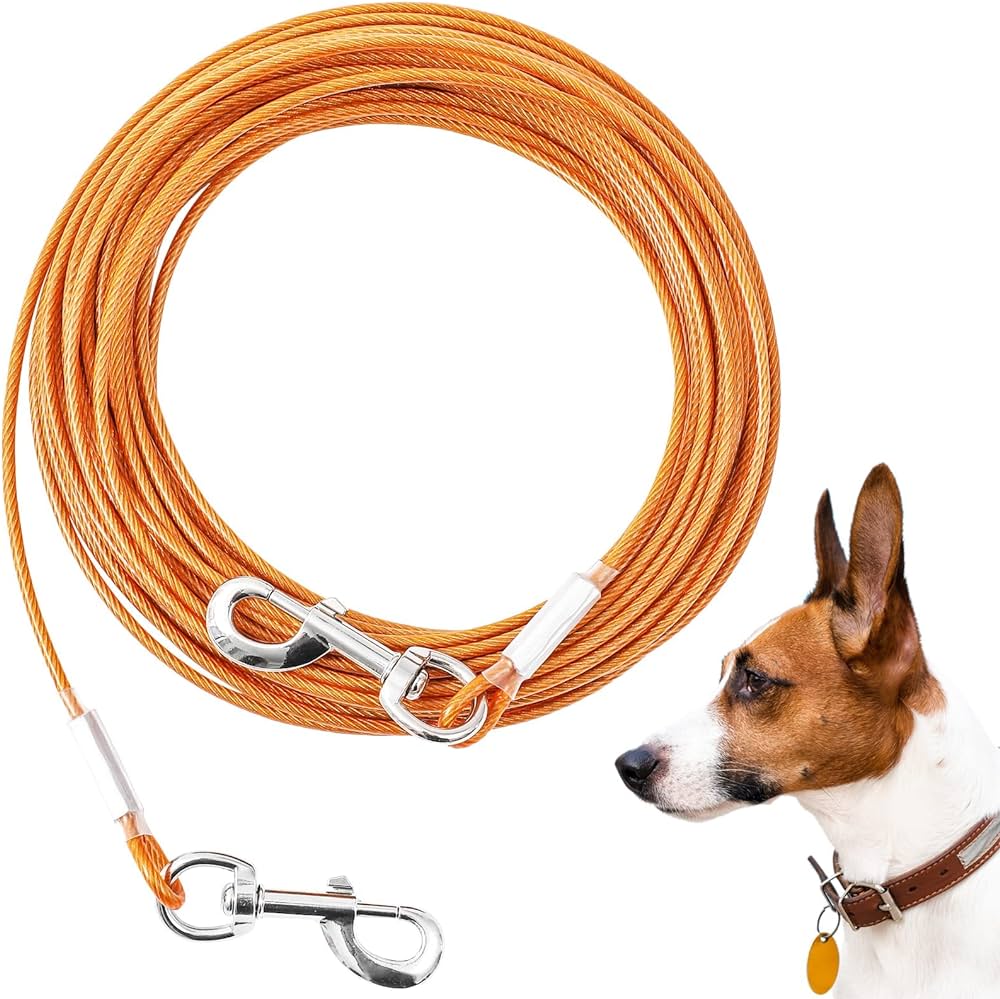 Choosing a Durable Dog Collar for Outdoor Activities