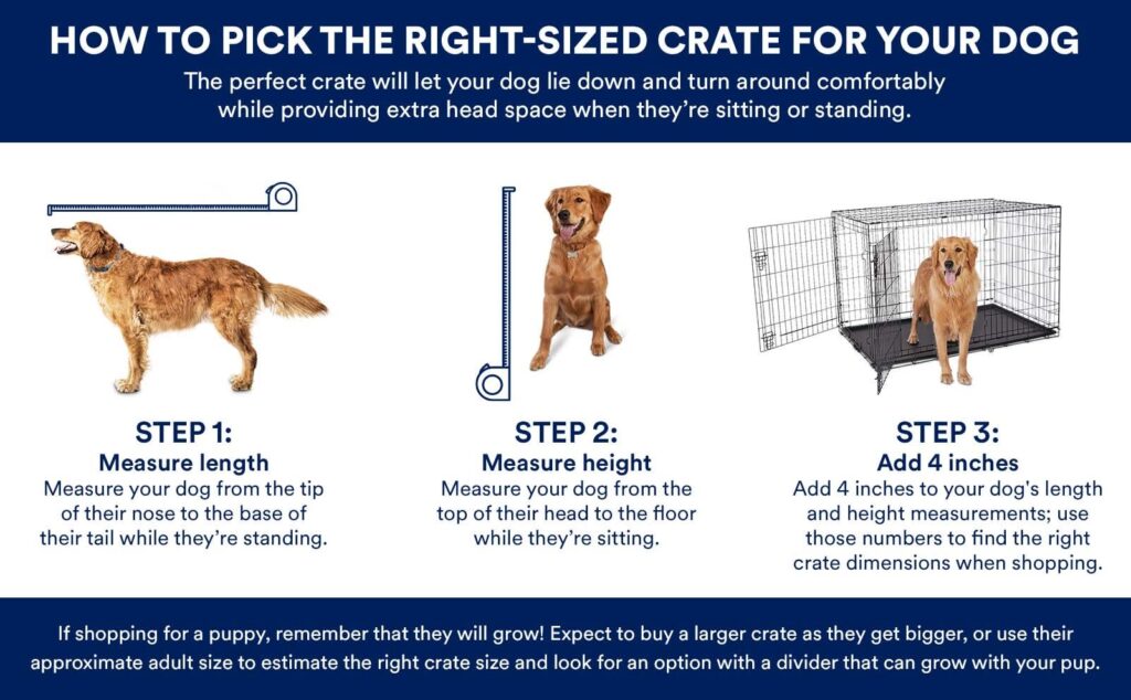 Choosing the Right Size Dog Crate for Training