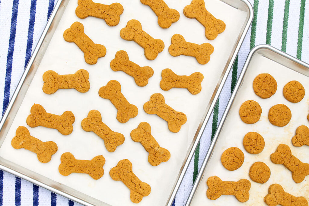 Easy Homemade Dog Treats Recipes