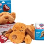 Natural Remedies for Dog Anxiety