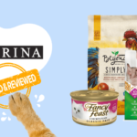 Organic Dog Food Brands Reviews 2024