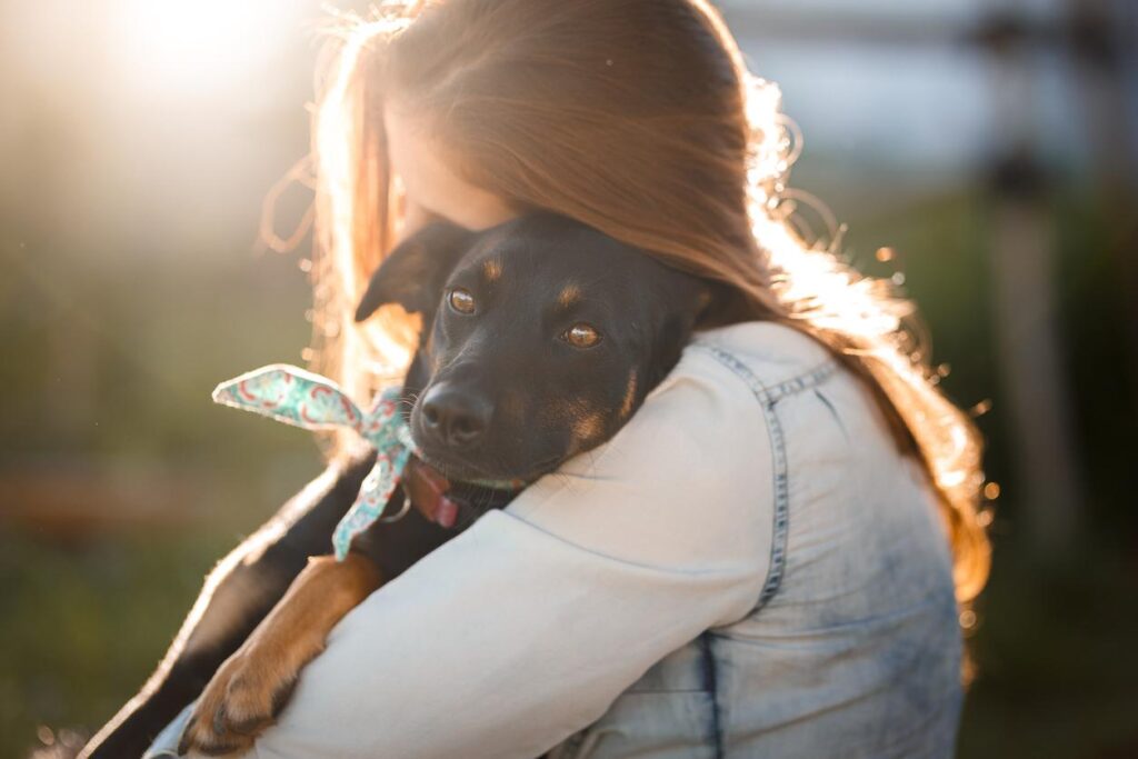 Small Family Dog Breeds