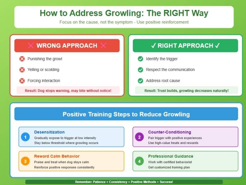 How to Address Growling The Right Approach