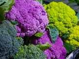 raw broccoli